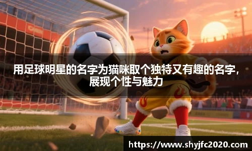 用足球明星的名字为猫咪取个独特又有趣的名字，展现个性与魅力